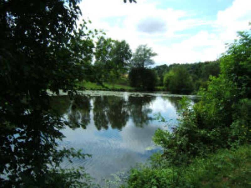 bord du thouet 025-w300-h300.jpg_1
