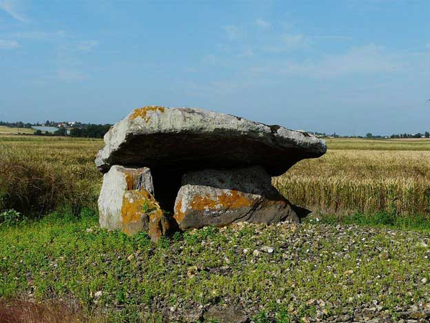 Dolmen megalithe patrimoine culturel puyravault St leger de montbrun Thouarsais