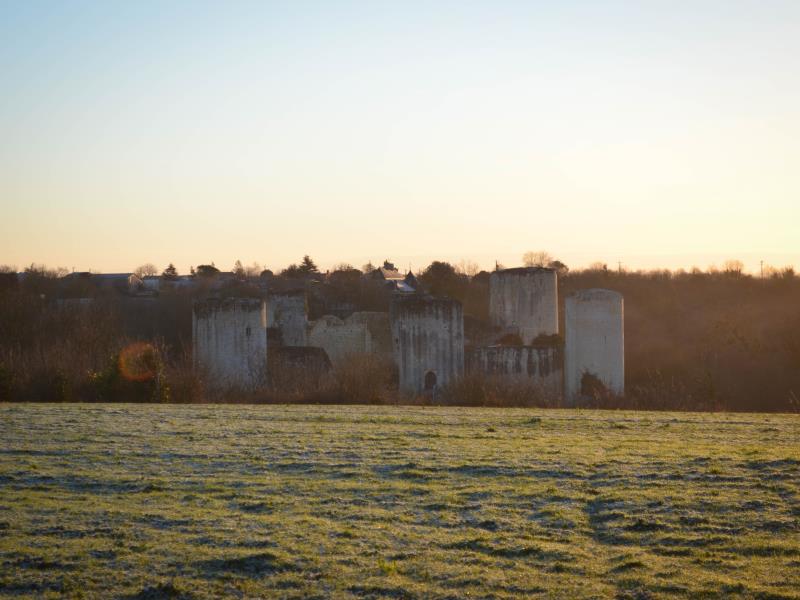 Le château du Coudray-Salbart (Echiré) au coeur de la campagne