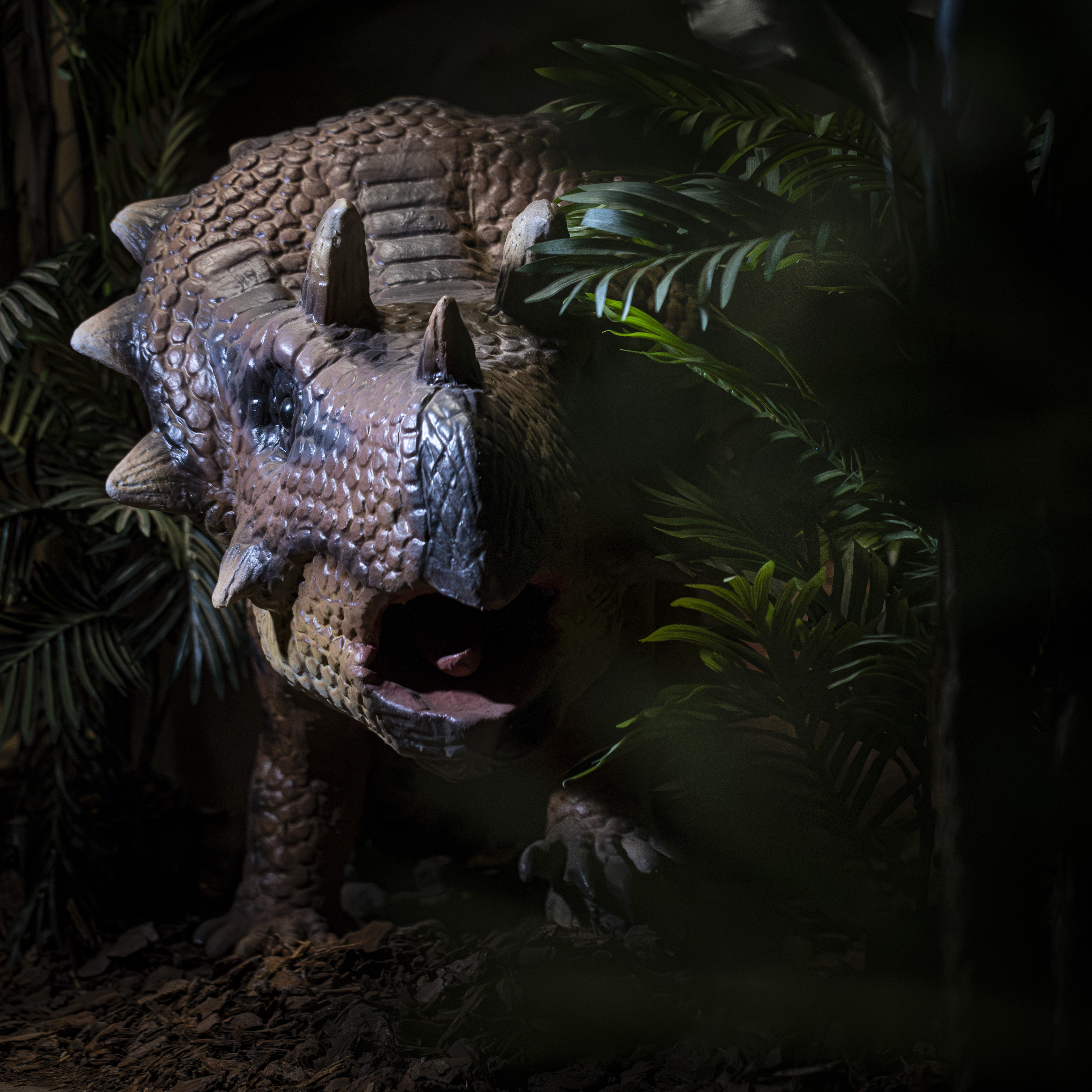 916A4947-Avec accentuation-Bruit