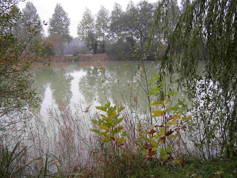 238252.jpg_1
