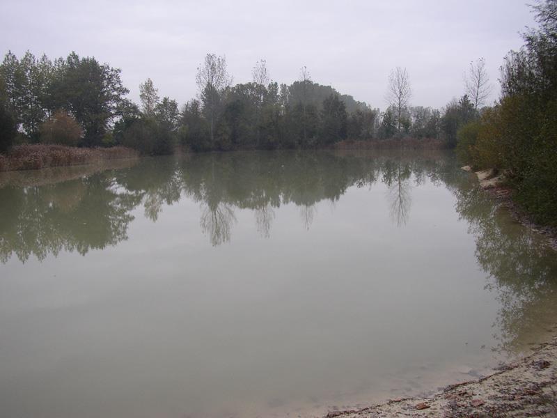 238254.jpg_3