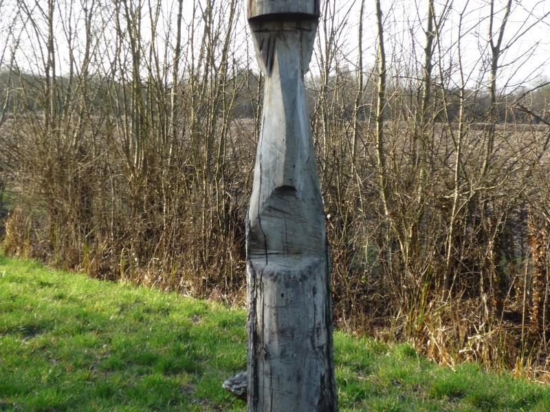 ARBRE-TOTEM-OTNMP-2017