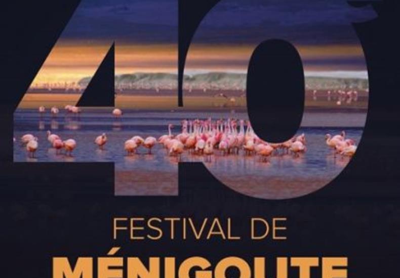 Affiche 40eme Festival de Ménigoute2024 FIFO
