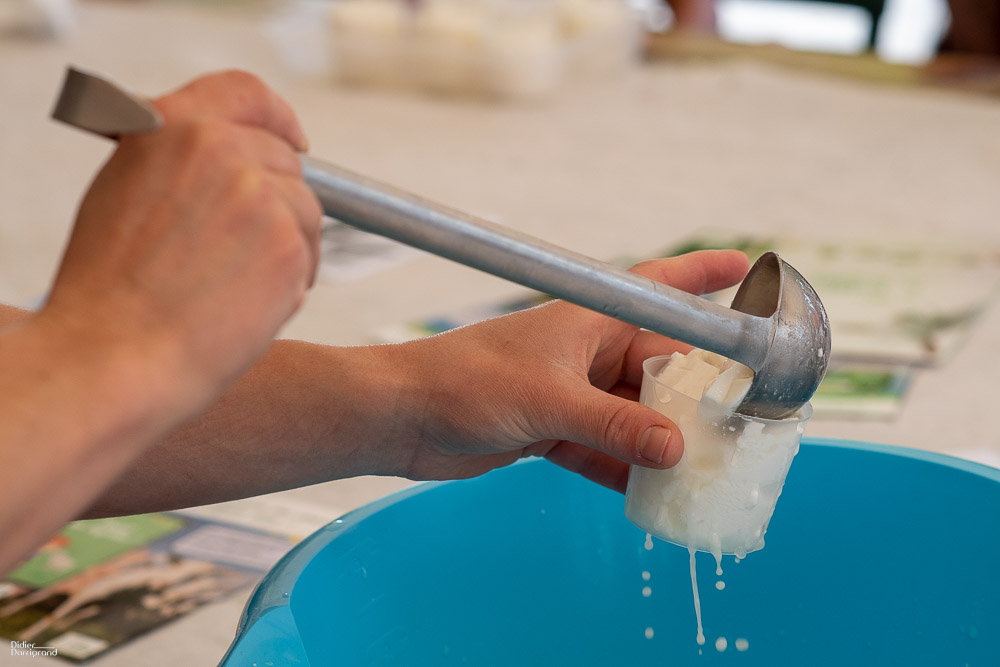Animations - Maison des fromages de chèvre de Celles-sur-Belle