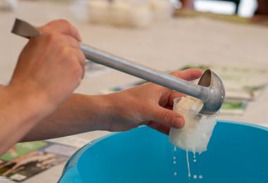 Animations - Maison des fromages de chèvre de Celles-sur-Belle