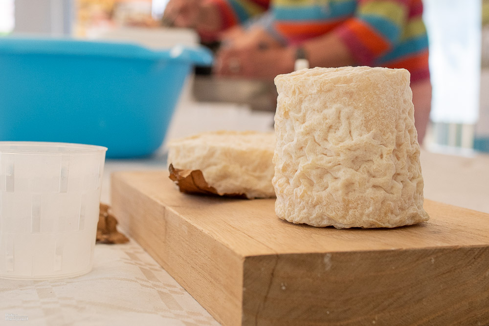 Chabichou du Poitou AOP