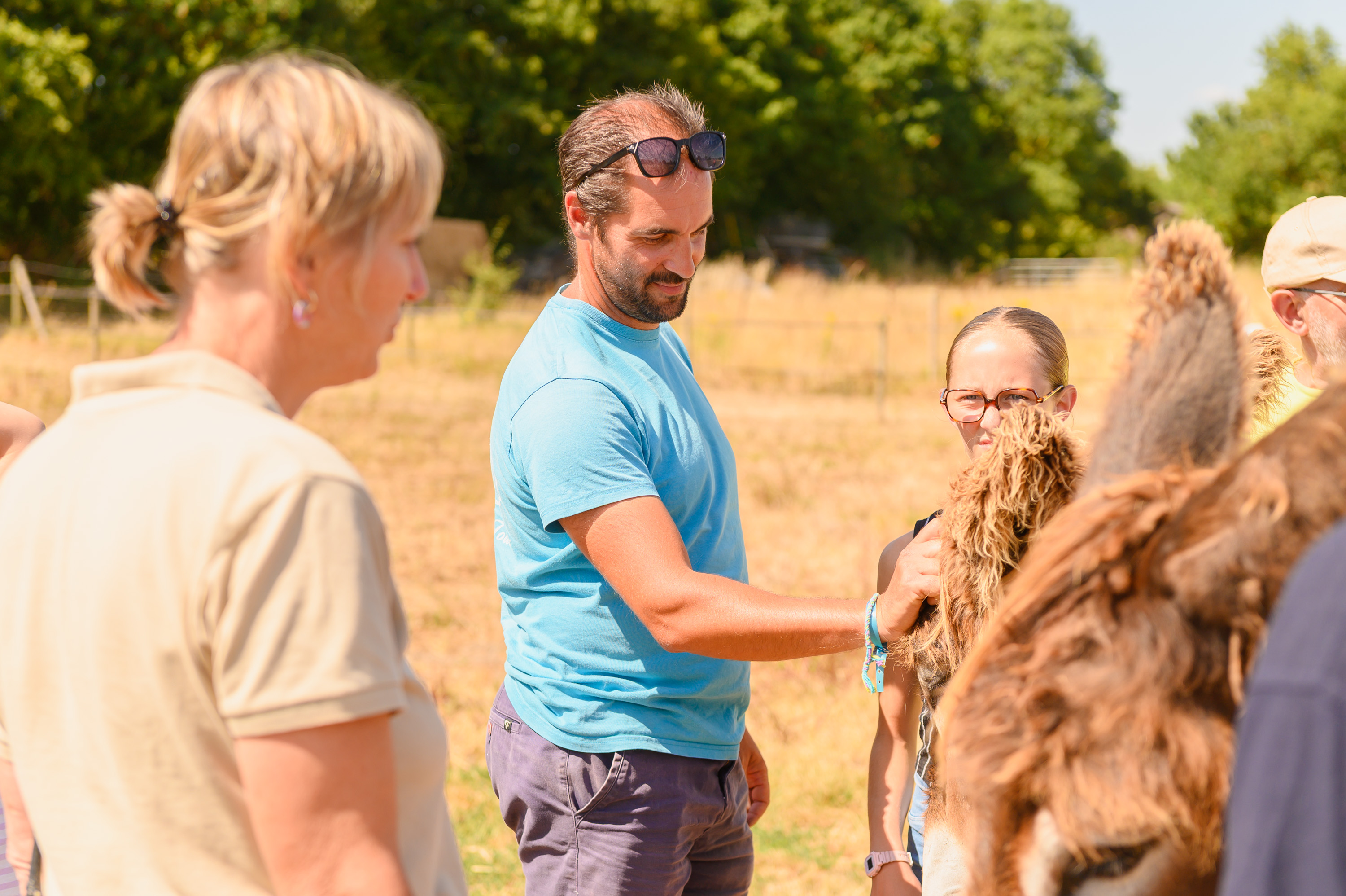 Découvrez le Baudet du Poitou grâce à une animation exclusive
