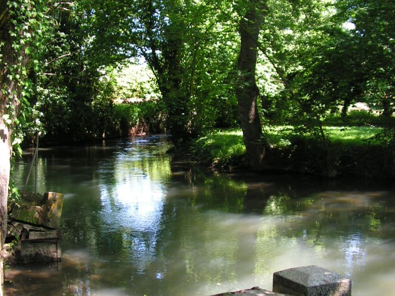 Bords de Sèvre Saint-Maixent-l'Ecole (17)