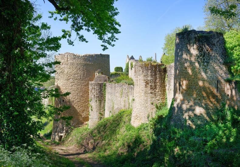 Bressuire-chateau (pw)4707