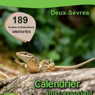 Sorties Nature : Observatoire photographique du paysage