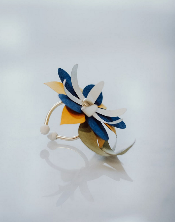 Capture d'écran 2025-03-07 141346