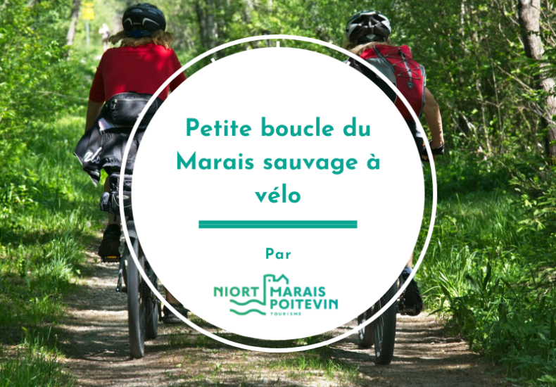 Petite boucle du Marais sauvage à vélo
