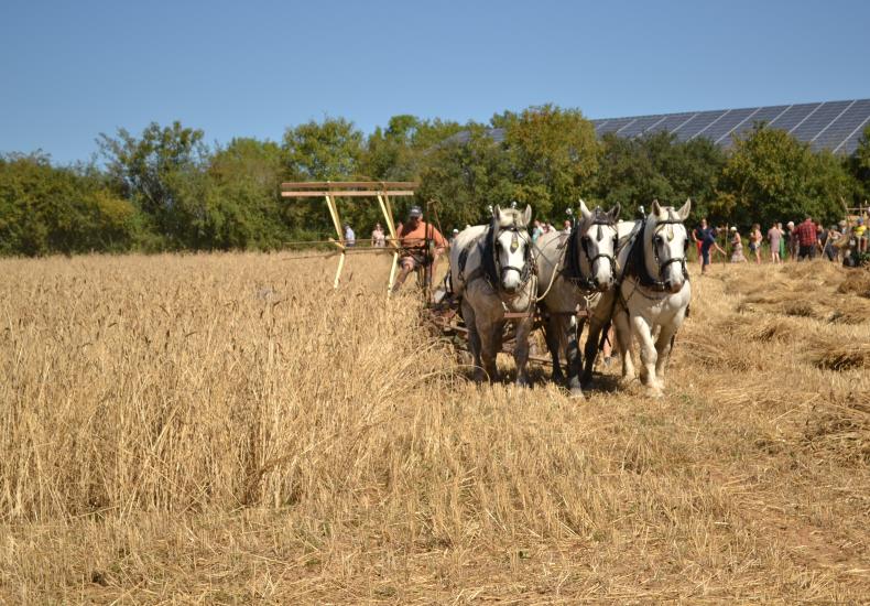 fete des battages 2025