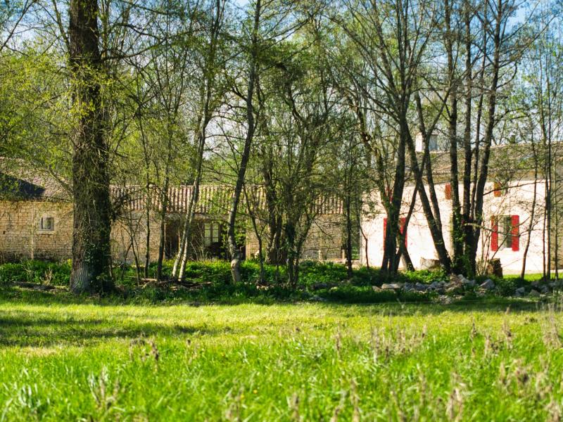 Le pré est idéal pour une sieste à l'ombre des arbres ou pour un pique-nique.