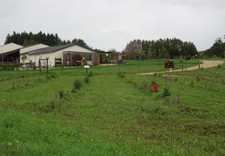 Arboretum et musée de Melleran 
