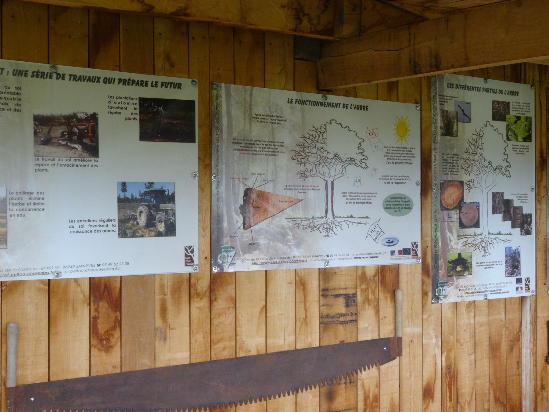 Arboretum et musée de Melleran 