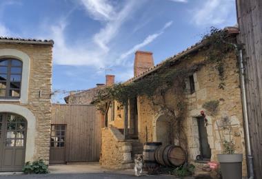 Terres blanches Viticulteur Vins bio degustation Oiron Plaine Vallees Thouarsais