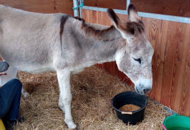 Elevage Baunel La-Chapelle-Bertrand