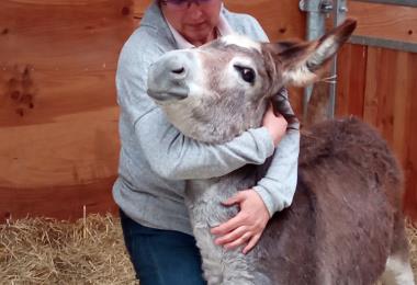 Elevage Baunel La-Chapelle-Bertrand