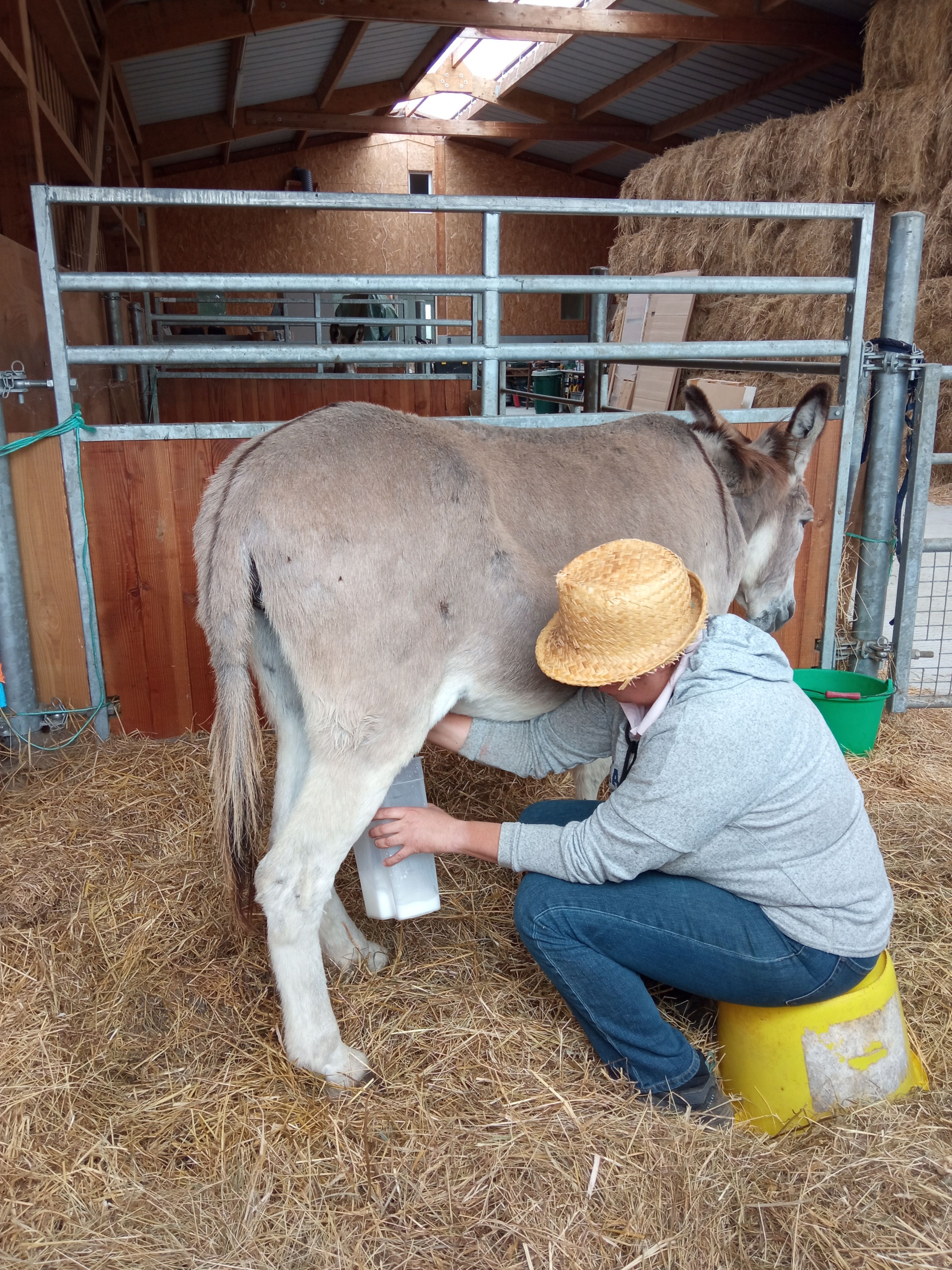 Elevage Baunel La-Chapelle-Bertrand