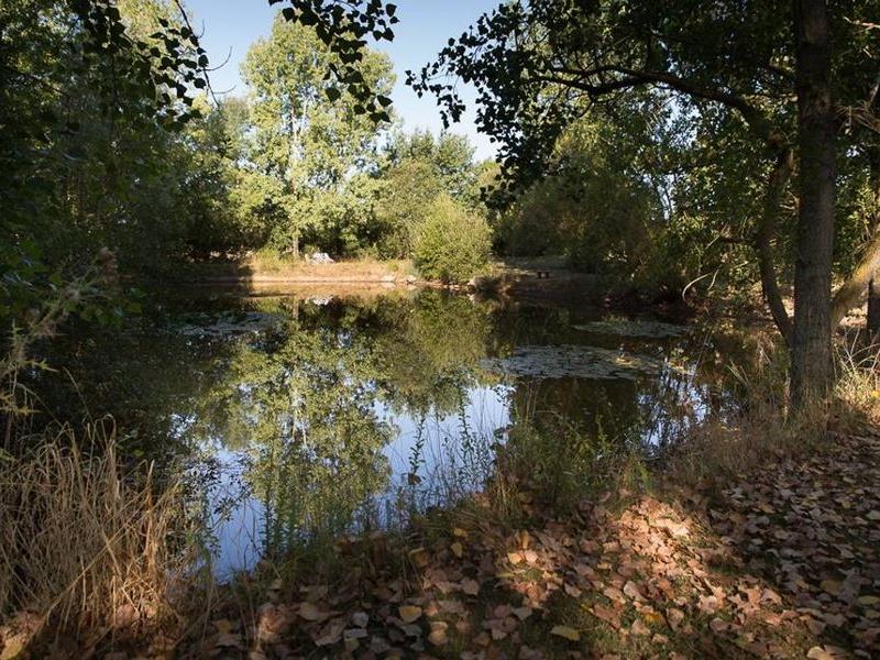 Etang 