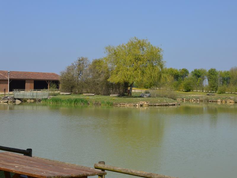 Etang des Marzelles