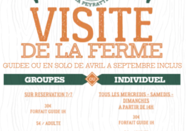 Flyers La Balades des Autruches - La Peyratte