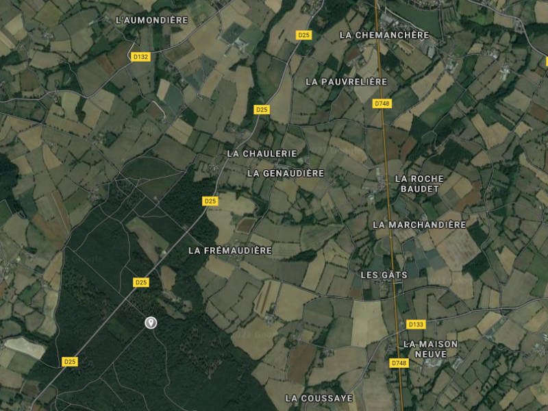 Foret_Domaniale_de_Secondigny-satellite