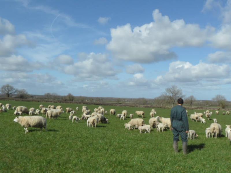 GAEC Bois d'Hérisson2