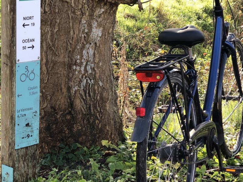 Venise Verte Evasion : loueur de vélos à Sansais-La Garette