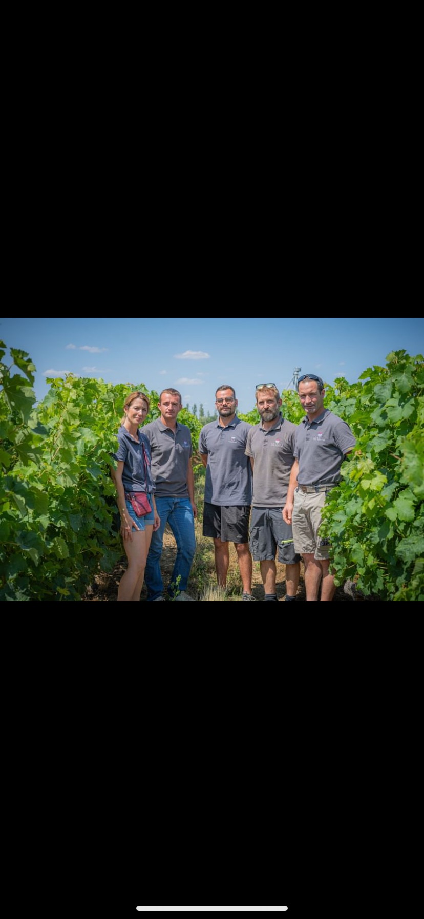 Domaine des martin viticulteur vins degustation Cersay Val en Vignes Thouarsais