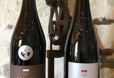 Domaine des martin viticulteur vins degustation Cersay Val en Vignes Thouarsais