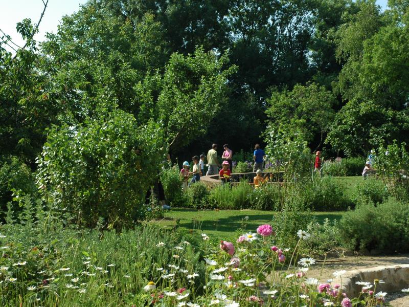 JARDIN-SENS-DSC-0110