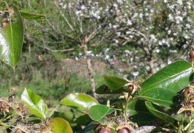 Jardin-forêt©Maximilien-Marie (2)