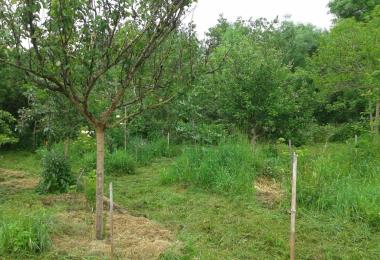 Jardin-forêt©Maximilien-Marie (3)