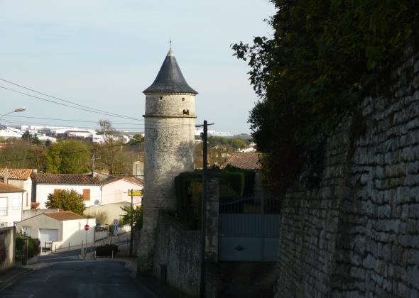 Niort - Balade souchéenne