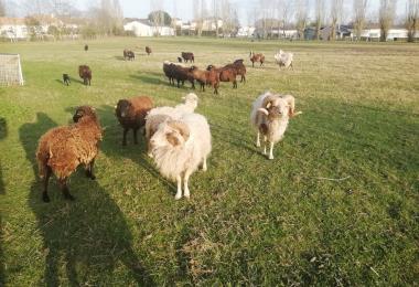 La Ferme de la Jalousie2