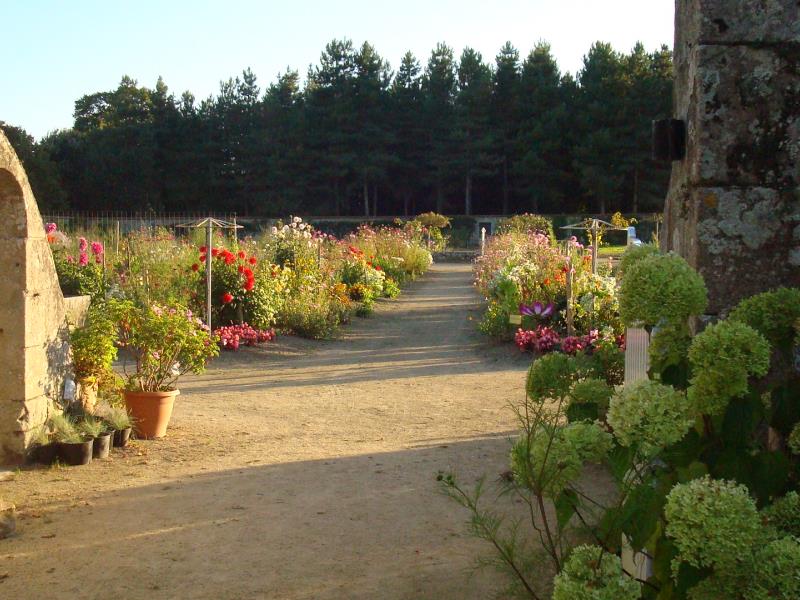 Le potager