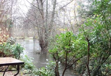 Les-pieds-dans-l-eau