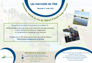 Affiche mercredis de l'été - Mercredi 27 août 2024