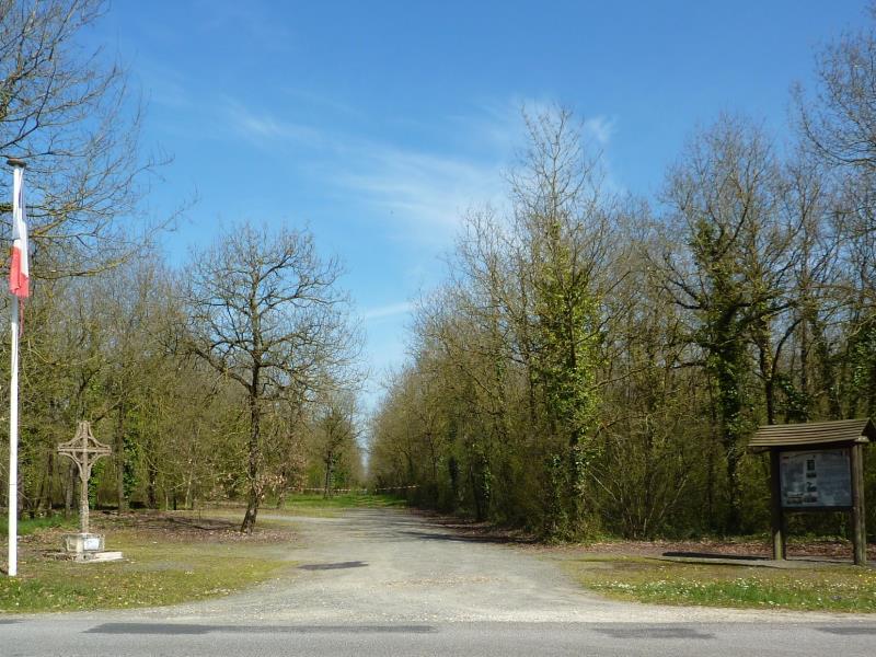 P1170151