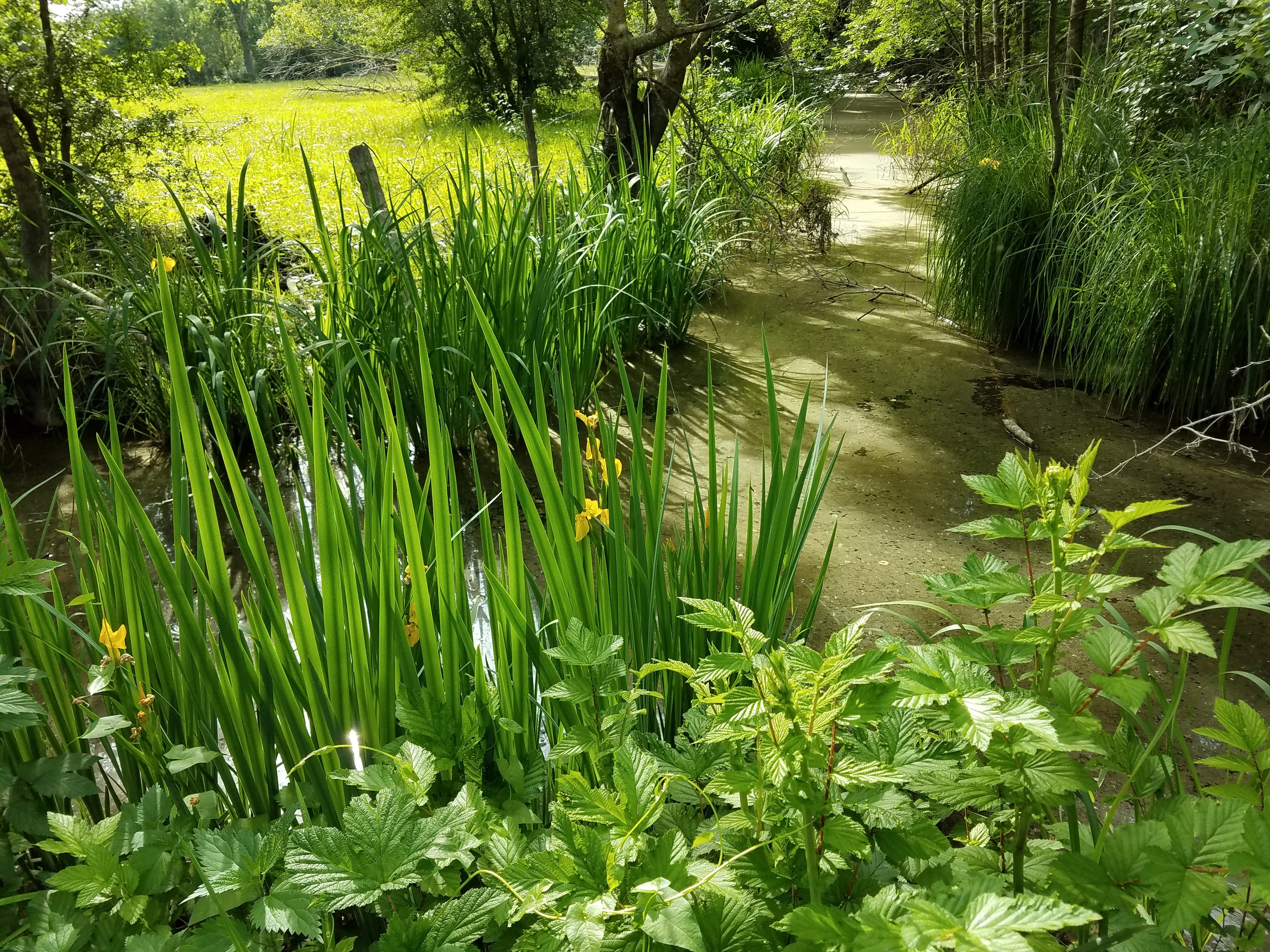 Photo 3 - Les Balades du Marais (2)