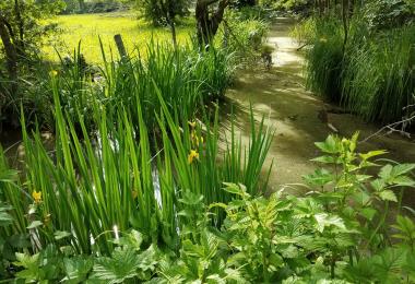 Photo 3 - Les Balades du Marais (2)