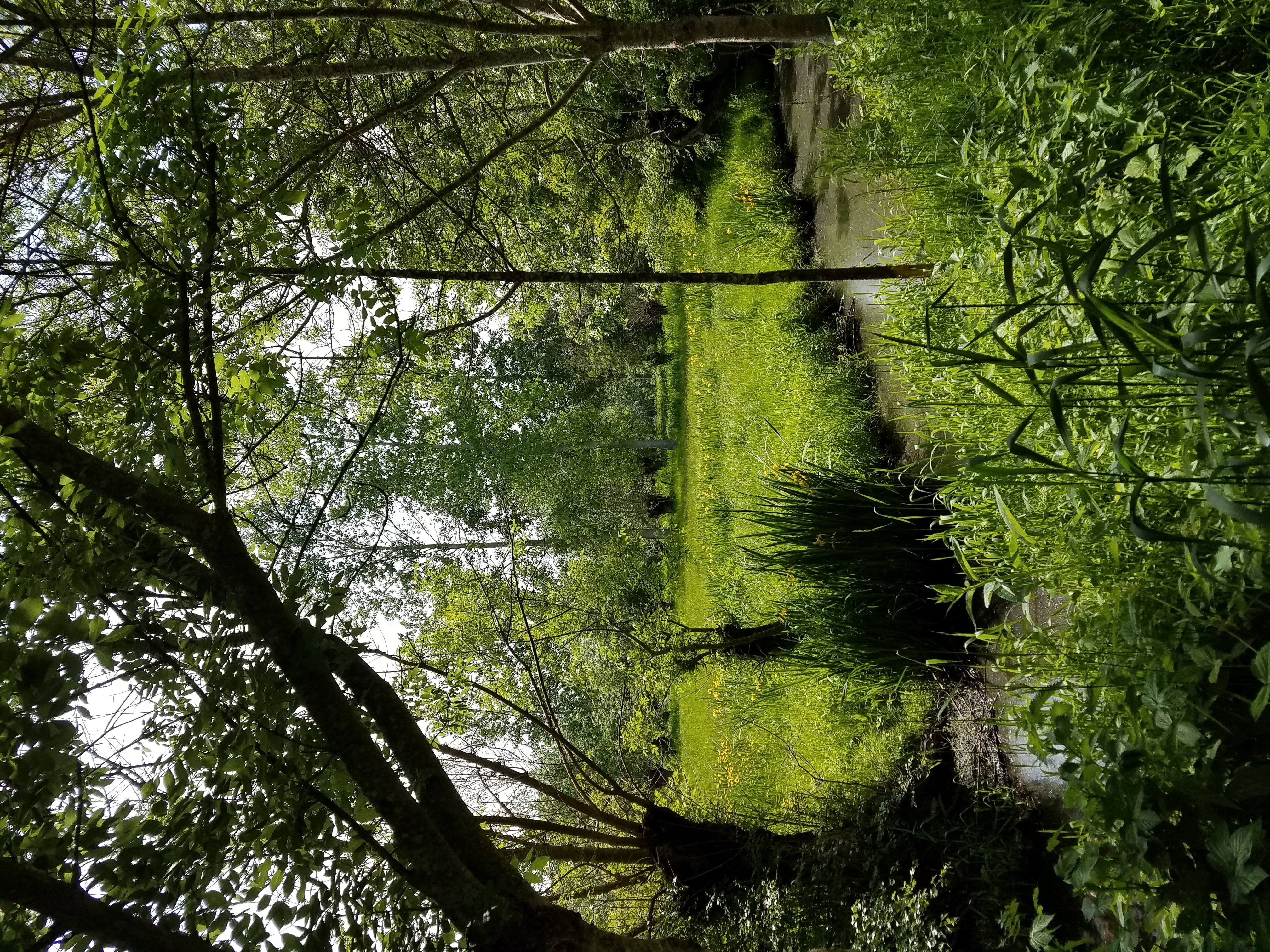 Photo 5 - Les Balades du Marais (2)