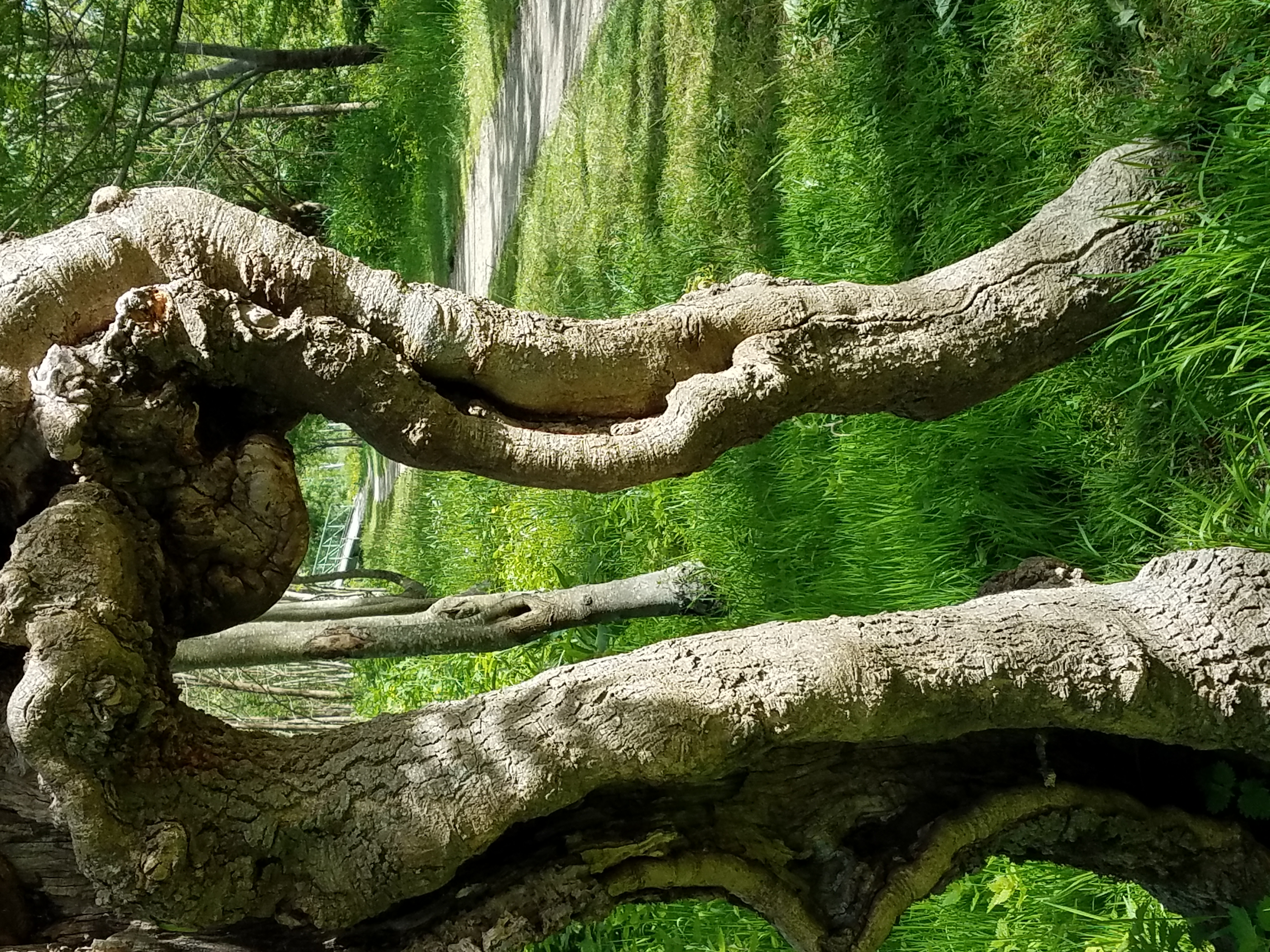 Photo 6 - Les Balades du Marais (1)