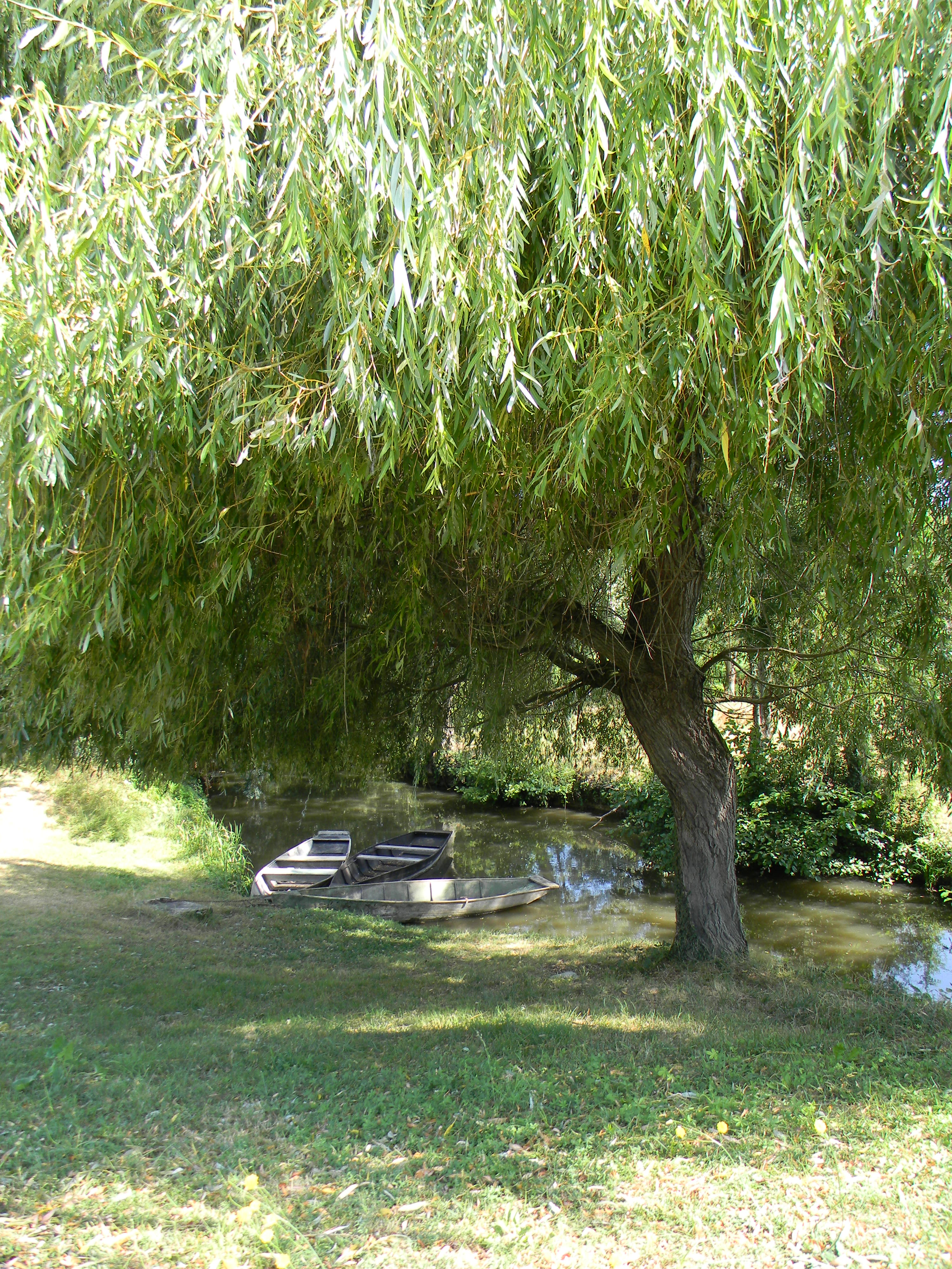 Photo 8 - Les Balades du Marais (1)