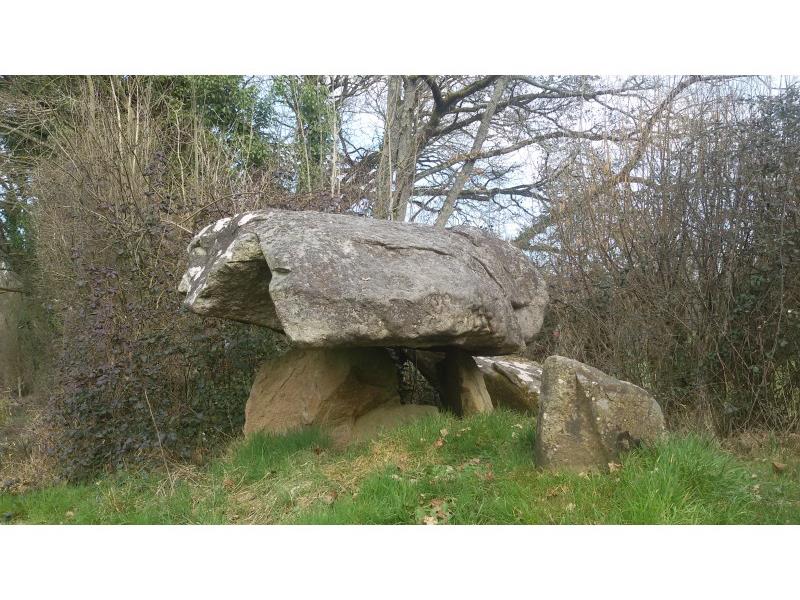 Rando-le-Pin-Chemin-Creux2