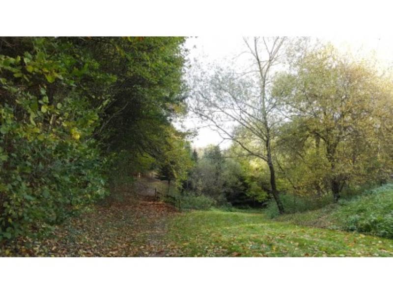 Rando-le-Pin-Chemin-Creux8