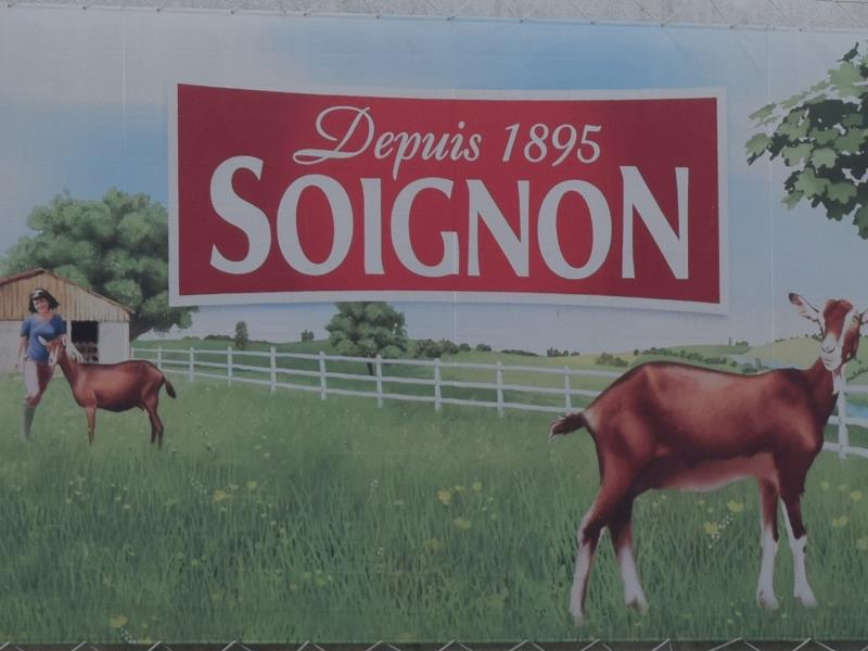 Soignon2